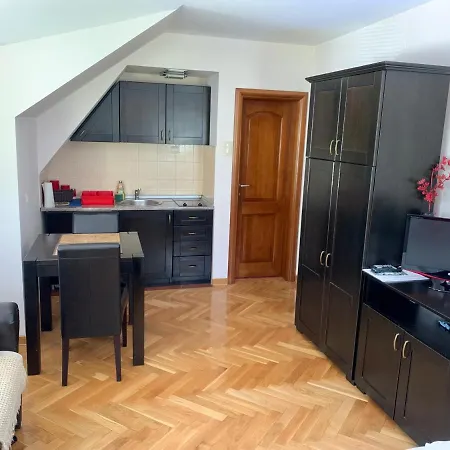 Darija Zlatar - Br. 4 Нова-Варош