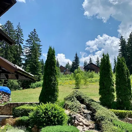 Darija Zlatar - Br. 4 *