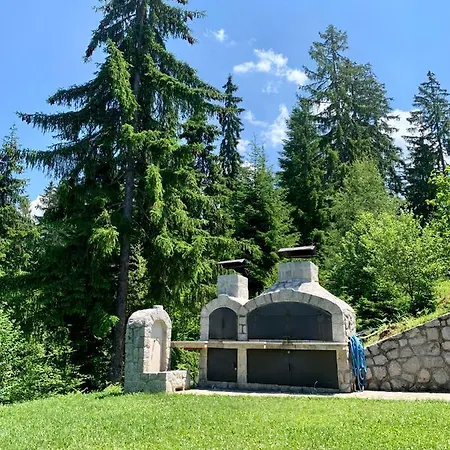 Darija Zlatar - Br. 4 *