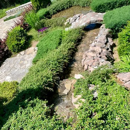 Darija Zlatar - Br. 4 * Нова-Варош