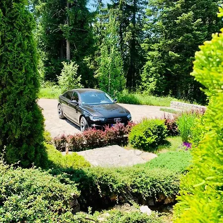 Darija Zlatar - Br. 4 * Нова-Варош