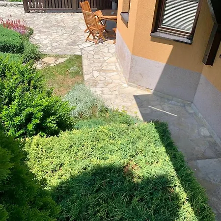 Darija Zlatar - Br. 4 * Nova Varoš