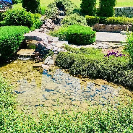 Darija Zlatar - Br. 4 * Нова-Варош