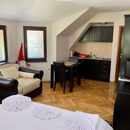 Darija Zlatar - Br. 4