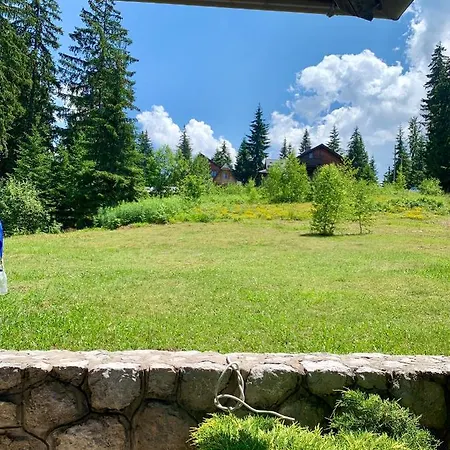 Darija Zlatar - Br. 4 *