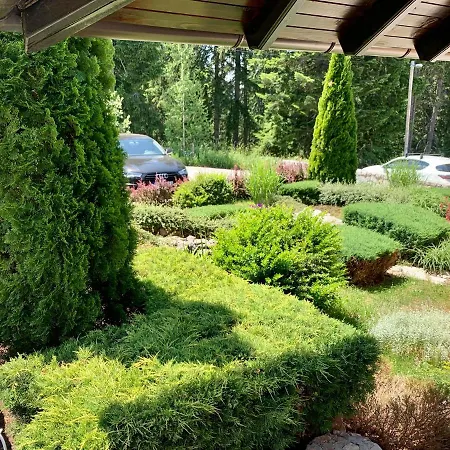 Darija Zlatar - Br. 4 Апартаменты Нова-Варош